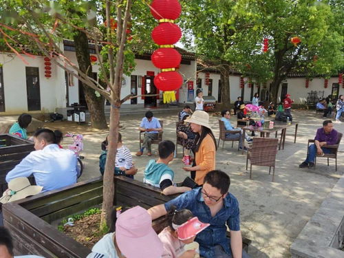 羅田假日旅游 產品豐富，服務文明有序