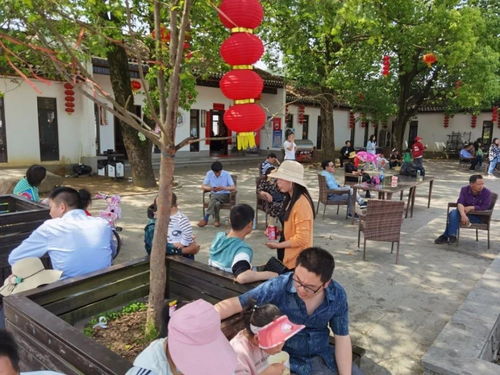 羅田假日旅游 產品豐富多樣，服務文明有序